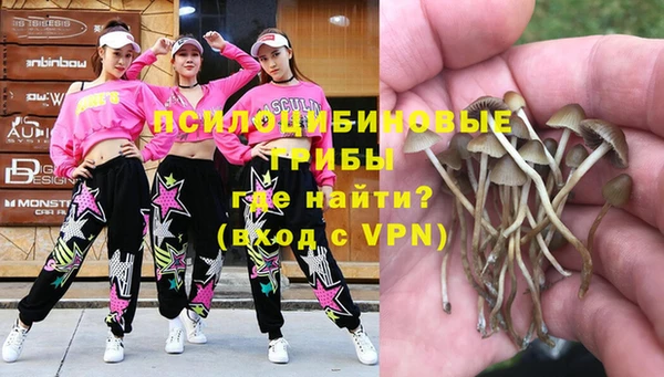 герыч Горнозаводск